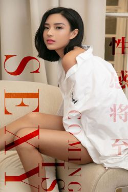 pr九尾狐